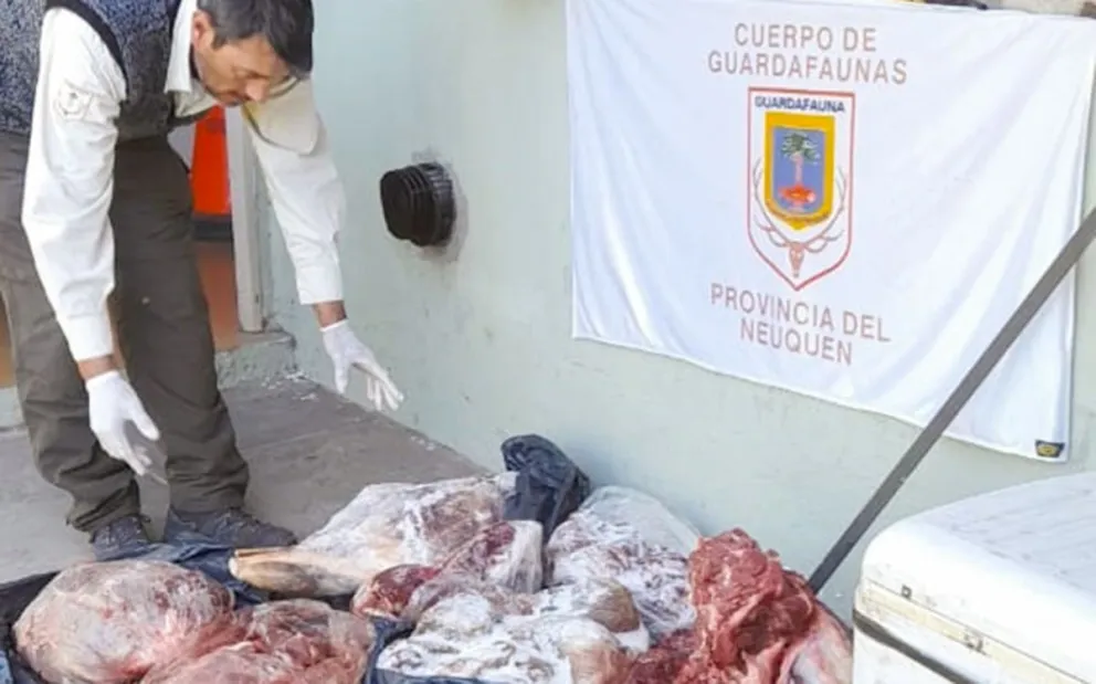 md - 2025-03-13T105626.932