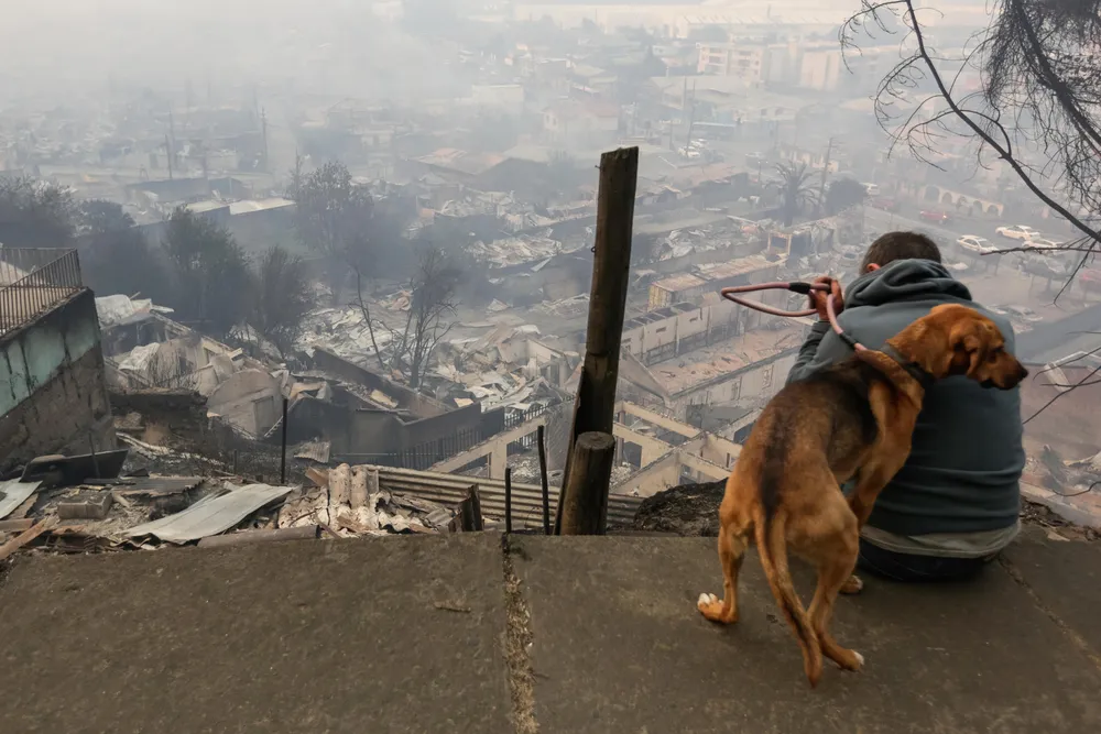 chile-incendio-forestal (1)