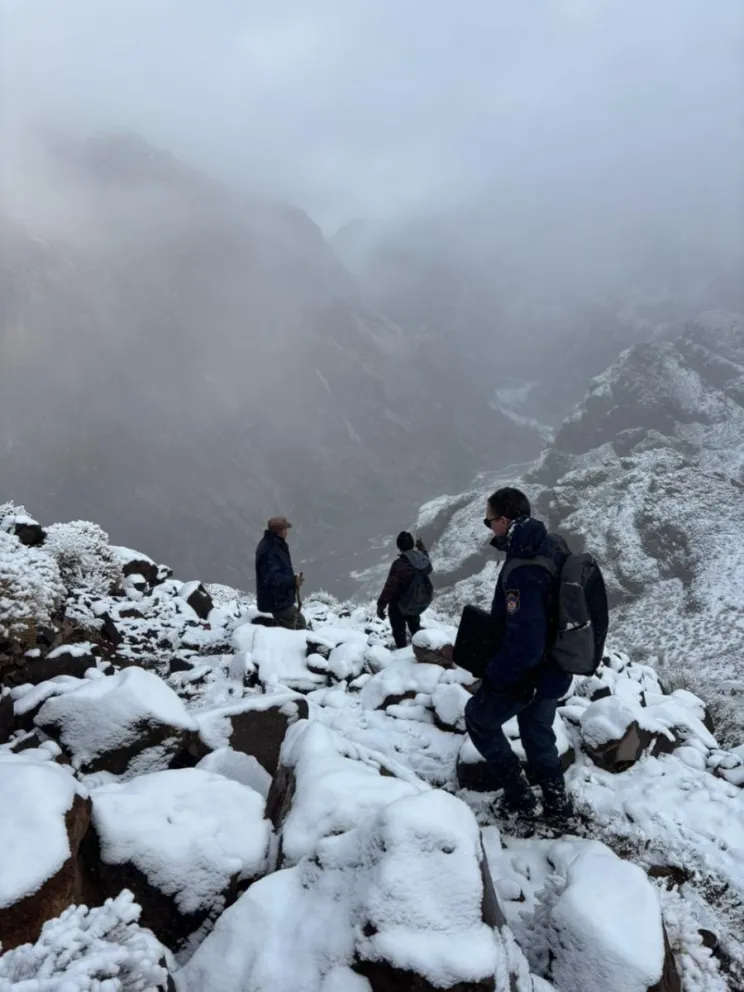 md - 2025-07-28T111343.909