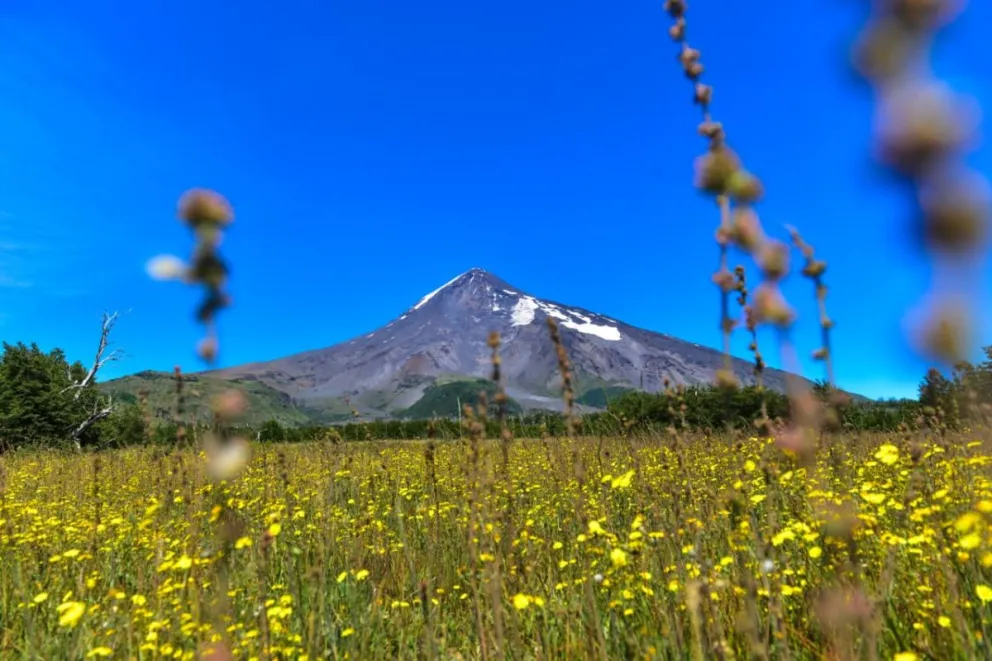 md - 2026-01-13T104745.706