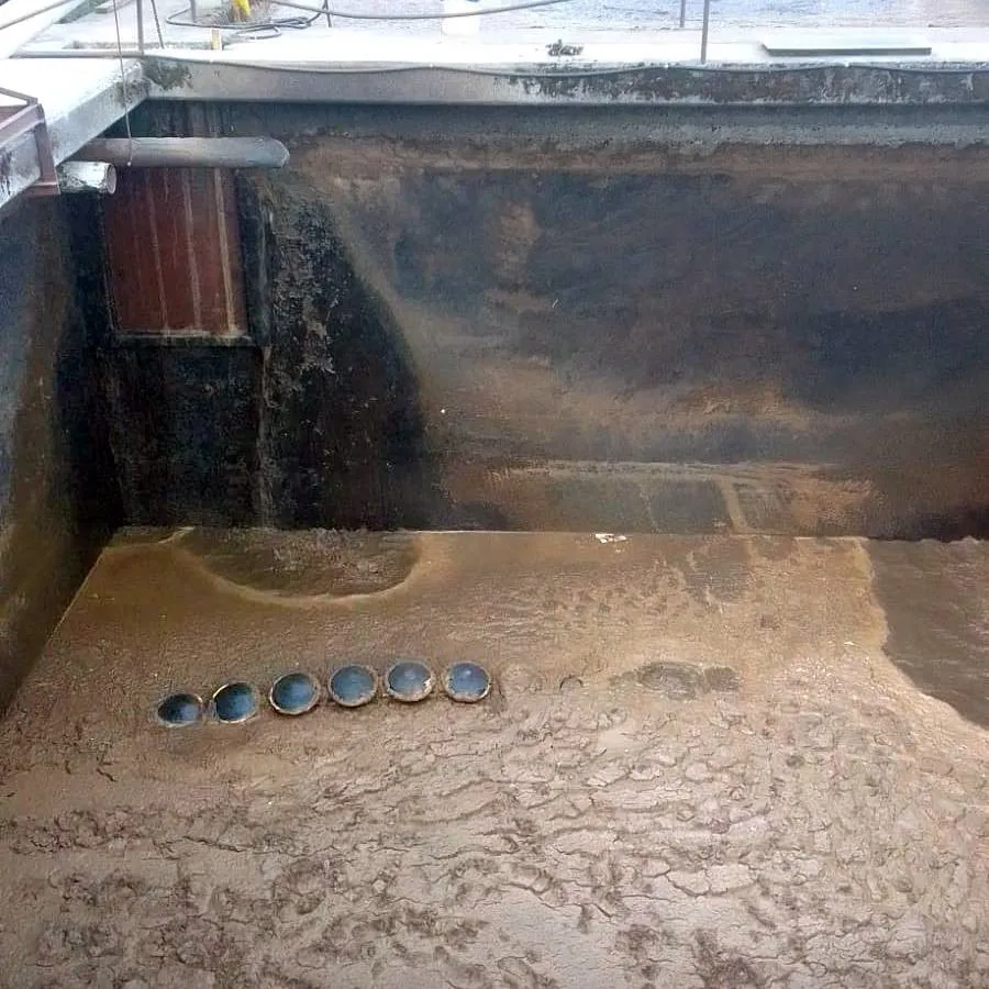 WhatsApp Image 2023-12-13 at 22.22.23