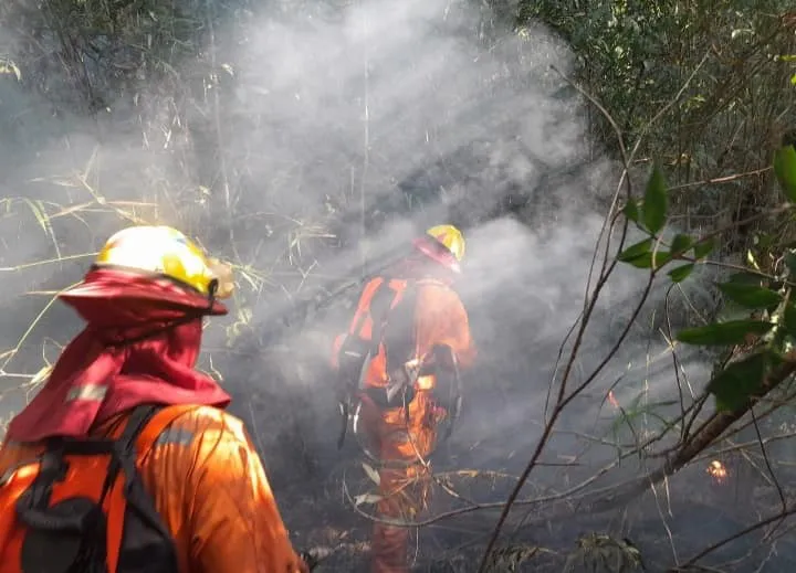 incendios_en_SC