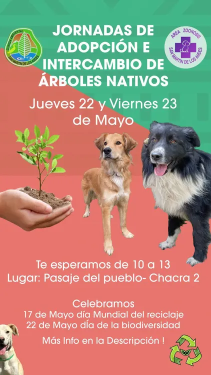 Imagen de WhatsApp 2025-05-12 a las 08.29.23_17f456a0