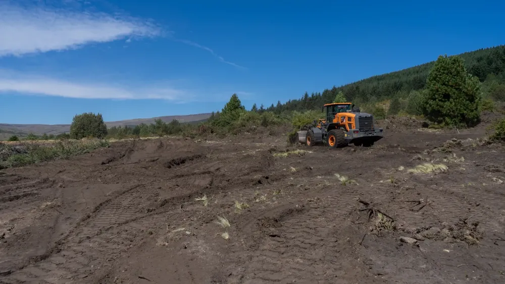 WhatsApp-Image-2025-03-10-at-15.13.21-1