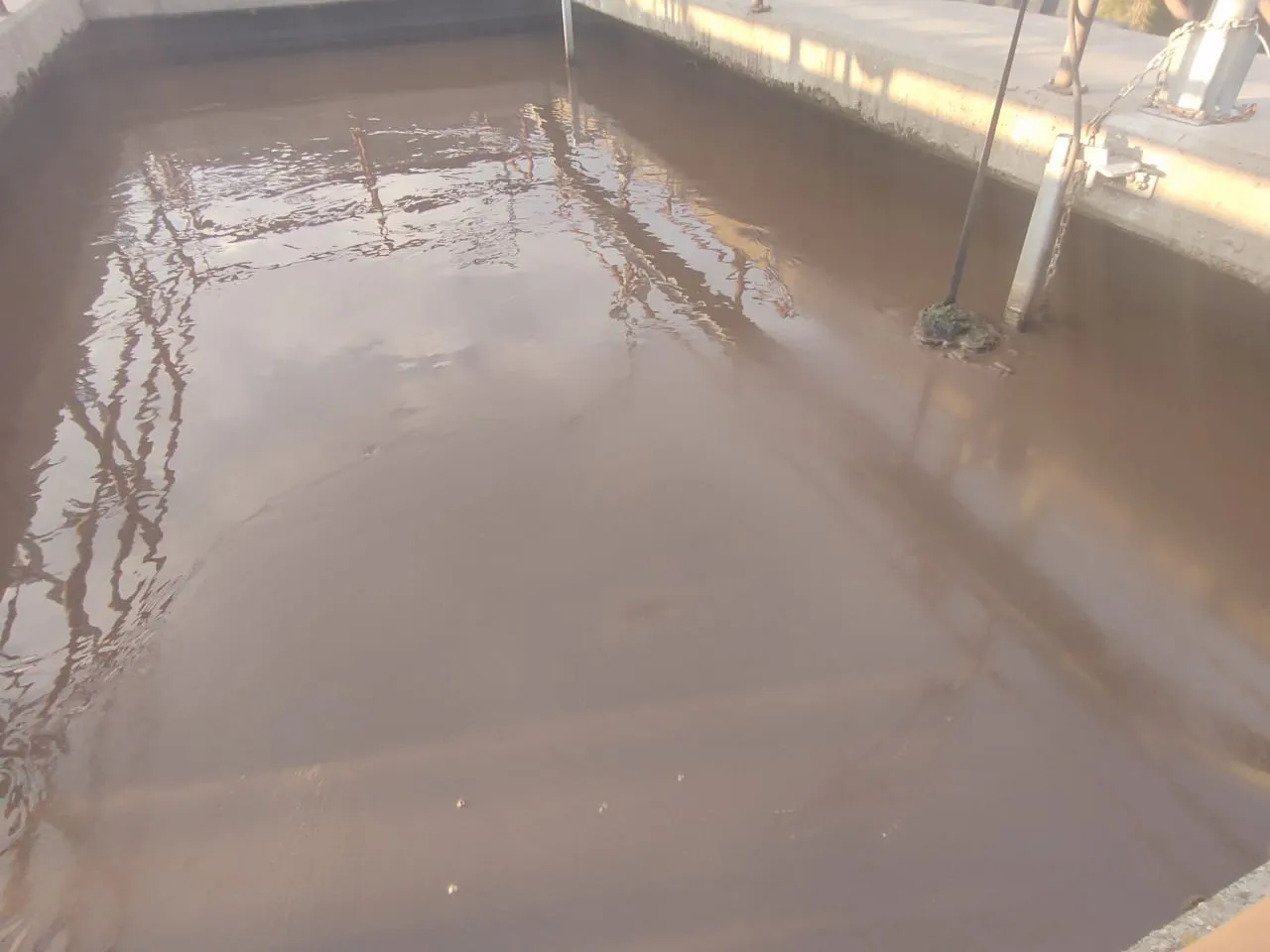 WhatsApp Image 2024-05-28 at 09.19.51