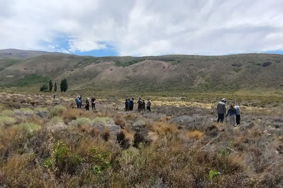 md - 2025-12-31T102050.280