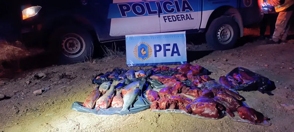 WhatsApp Image 2024-08-12 at 11.36.45