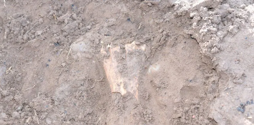 WEB-HALLAZGO-ARQUEOLOGICO-ANDACOLLO-32-850x420