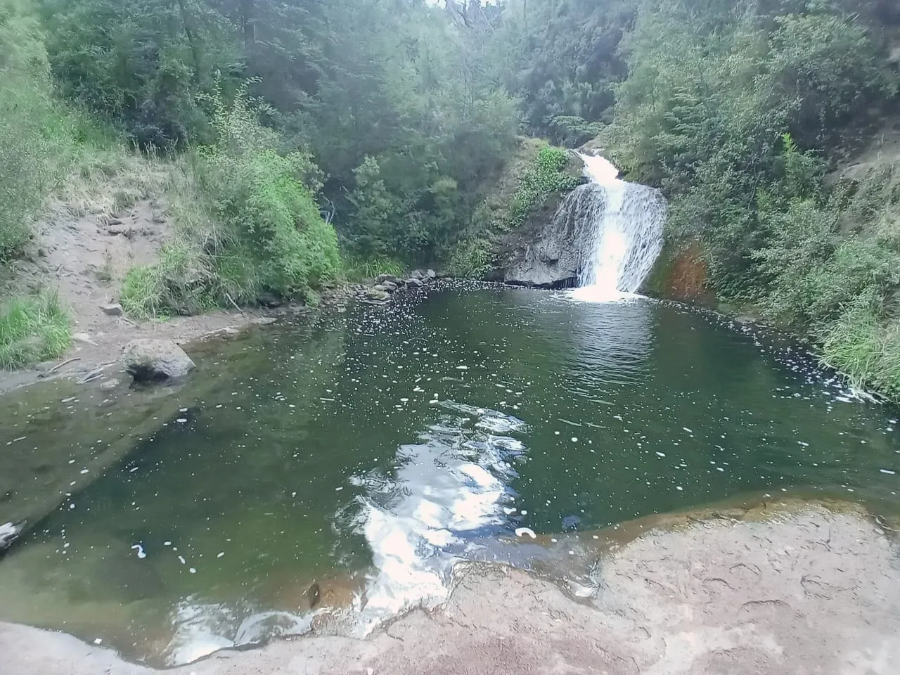 WhatsApp Image 2023-07-20 at 10.56.53