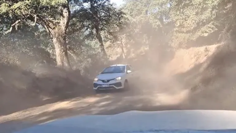 quila-quina-intransitable-parque-nacional-laninjpg