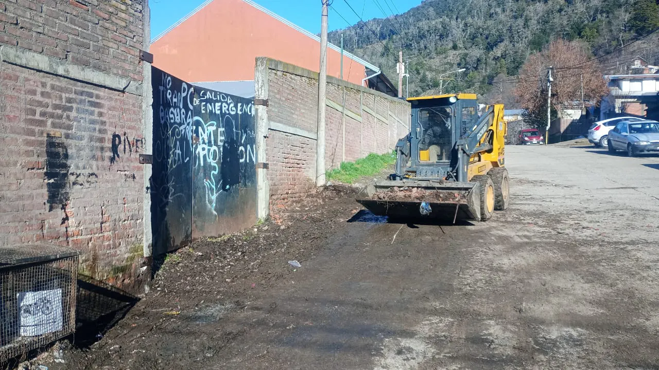 WhatsApp Image 2024-08-16 at 09.03.35