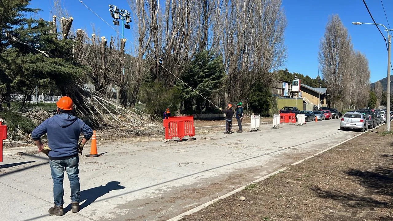 Imagen de WhatsApp 2024-10-07 a las 12.22.25_d1e17ea5