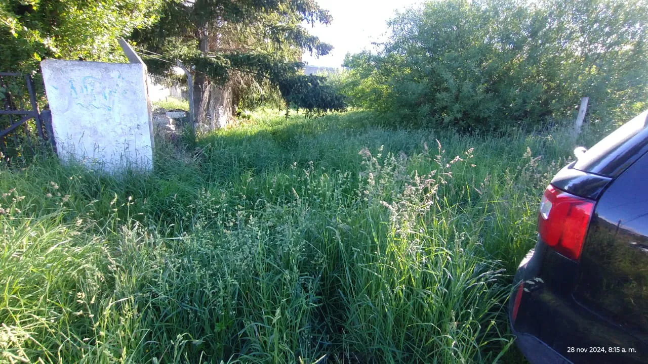 Imagen de WhatsApp 2024-11-29 a las 08.48.46_cbf72e4c