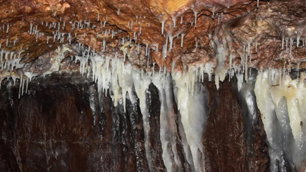 md - 2024-11-13T151309.297