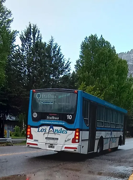 WhatsApp Image 2023-11-17 at 11.10.46