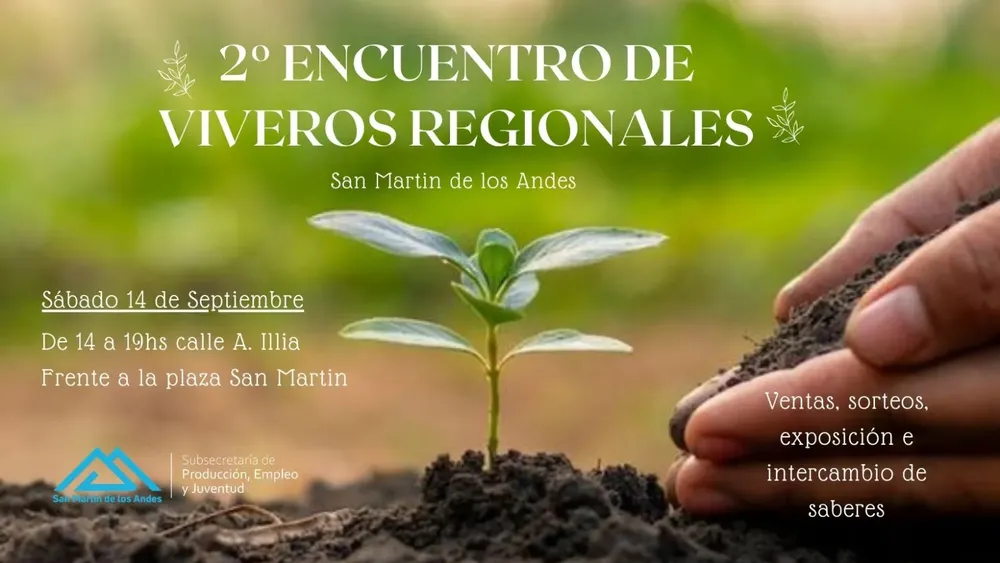 WhatsApp Image 2024-08-07 at 07.00.25