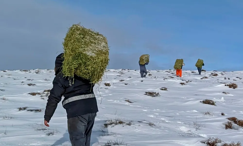 Emergencia-Agropecuaria