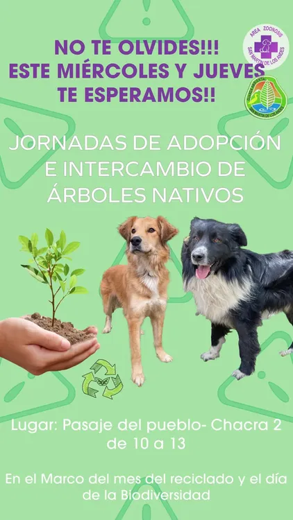 Imagen de WhatsApp 2025-05-27 a las 08.28.35_b87de631