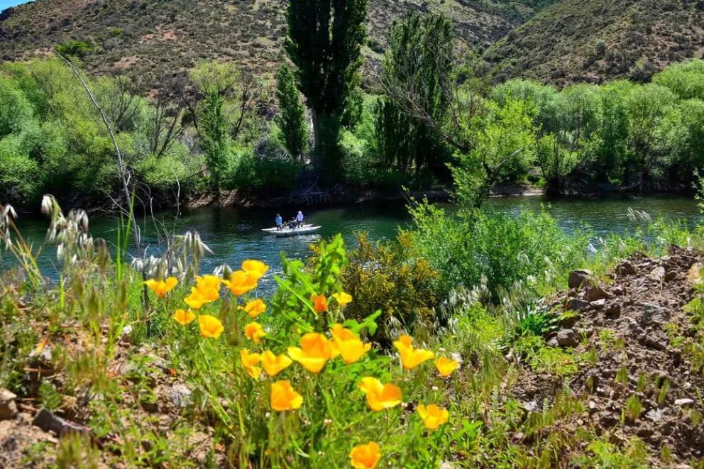 md - 2025-12-23T135923.537