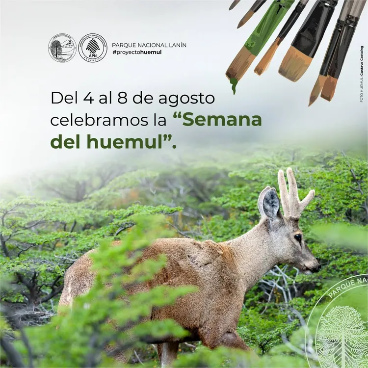 Imagen de WhatsApp 2025-06-23 a las 11.15.41_374578cd