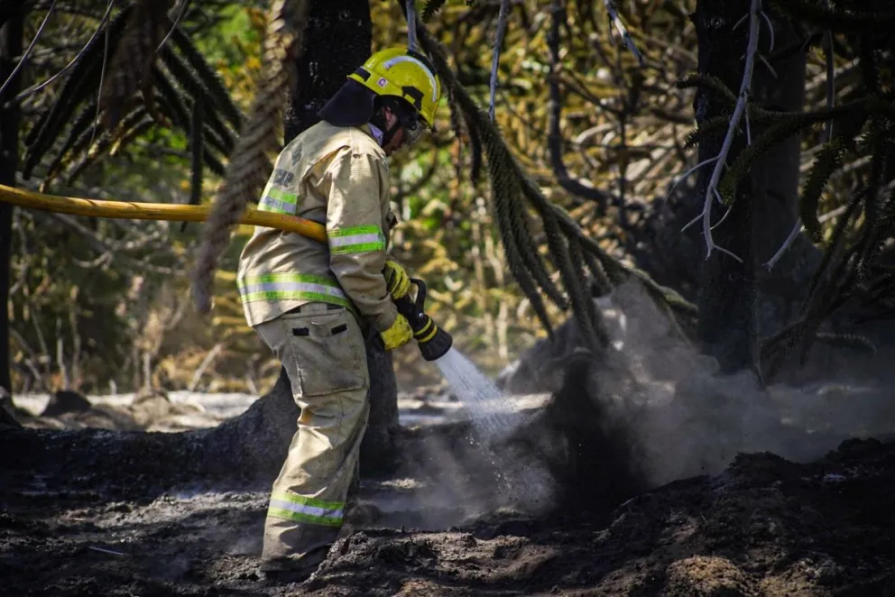 md - 2025-02-11T100551.183