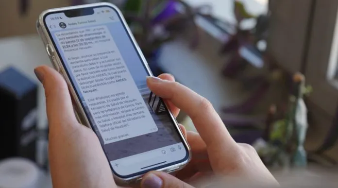 WEB-Salud-recordara-por-WhatsApp-los-turnos-dados-696x387