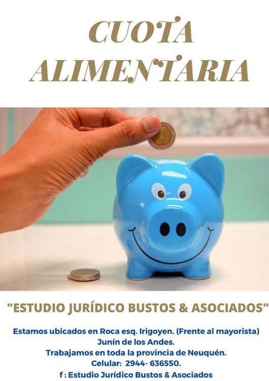 CUOTA ALIMENTARIA (2)
