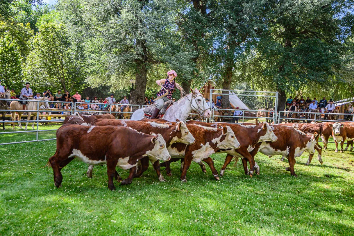Expo Rural de Neuquén