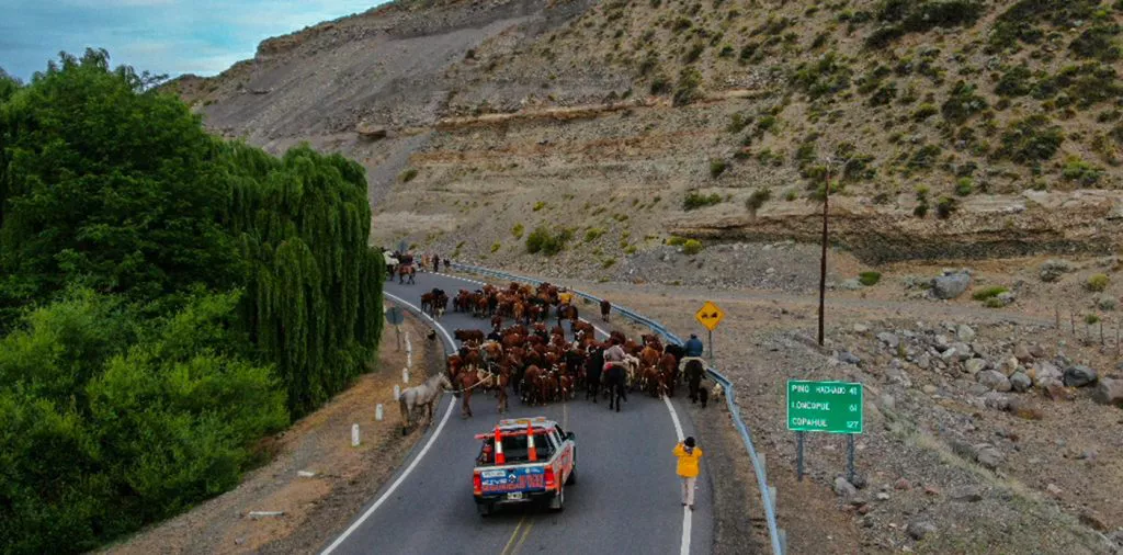 WEB-Trashumancia-durante-el-fin-de-semana-largo-1024x506