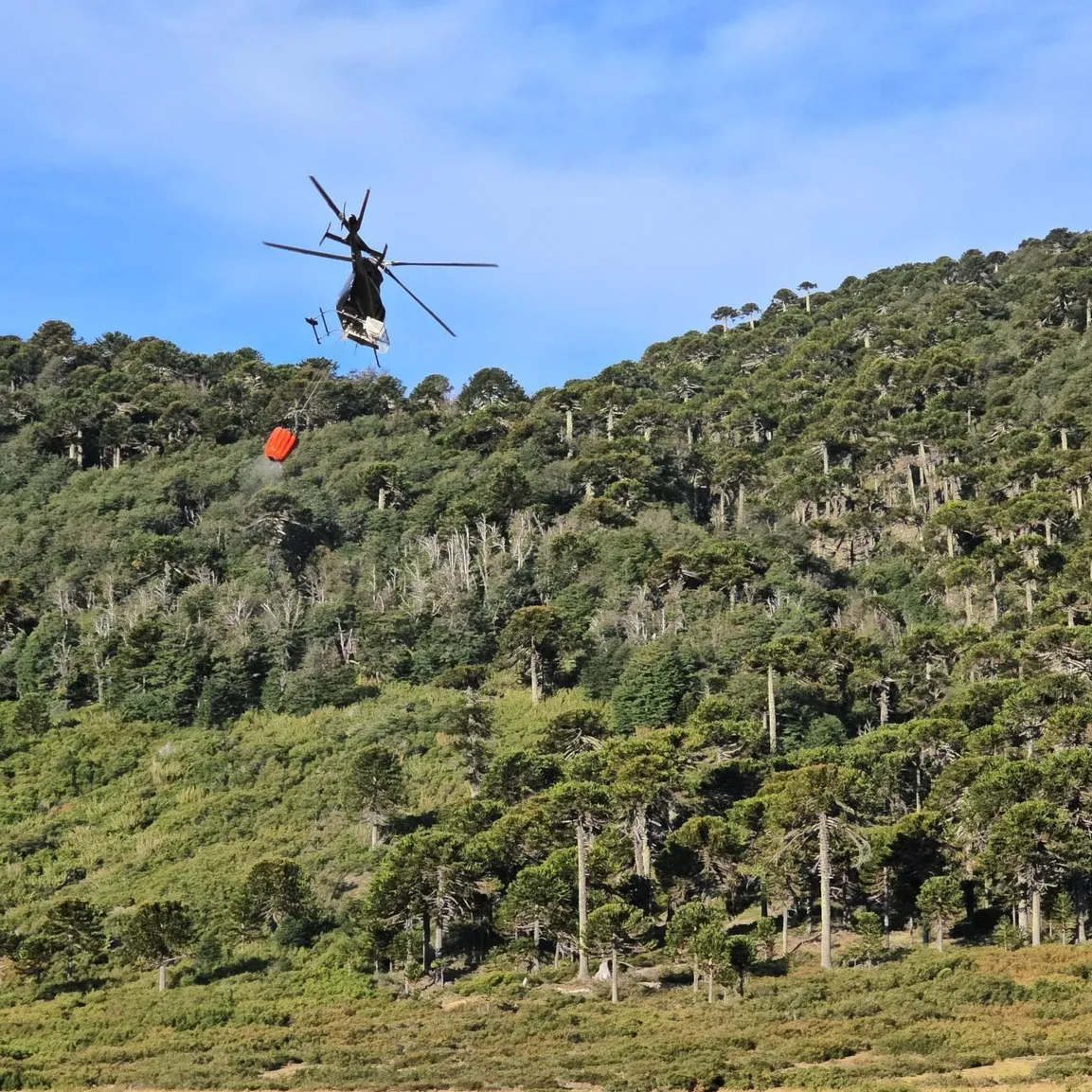 Imagen de WhatsApp 2025-02-19 a las 09.54.32_f0d468d1