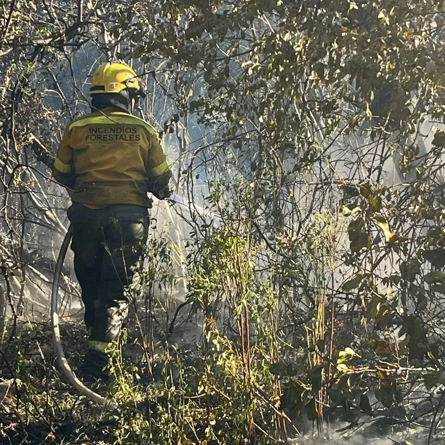 Imagen de WhatsApp 2025-01-07 a las 21.45.04_df2968d1