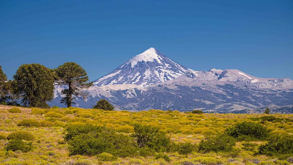 md - 2025-03-06T094217.350