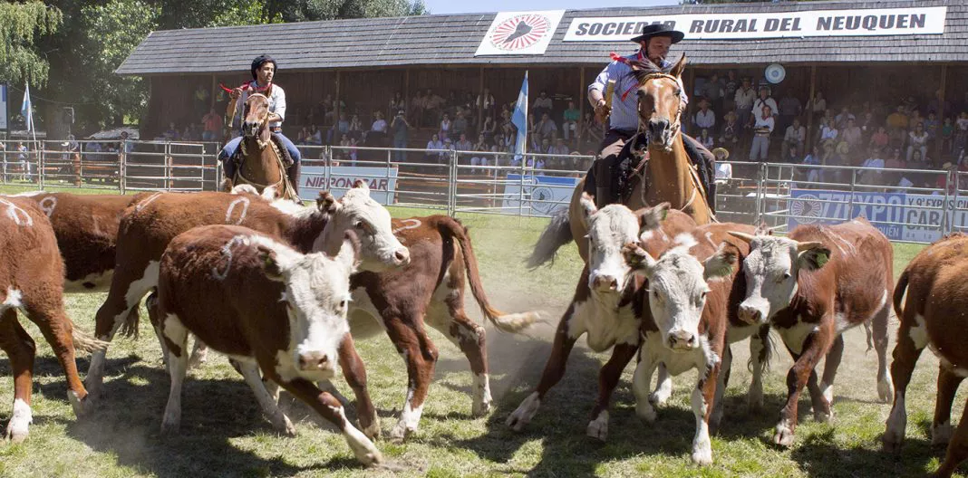 web-Junin-de-los-Andes...-Expo-Rural-2019_08A0818-1068x528