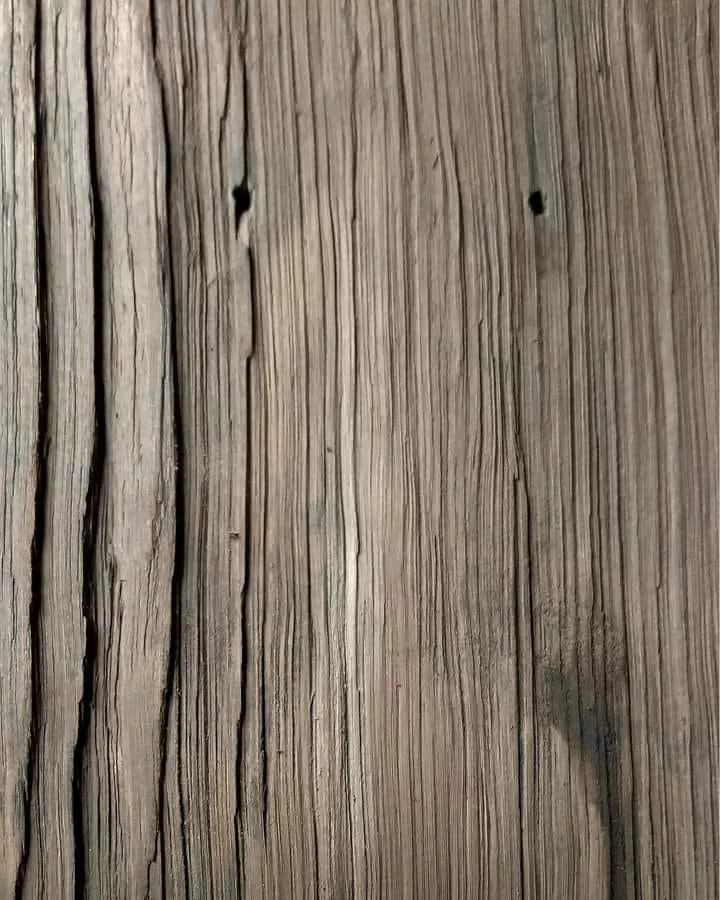 333611779_866623077736163_8571709170699483569_n
