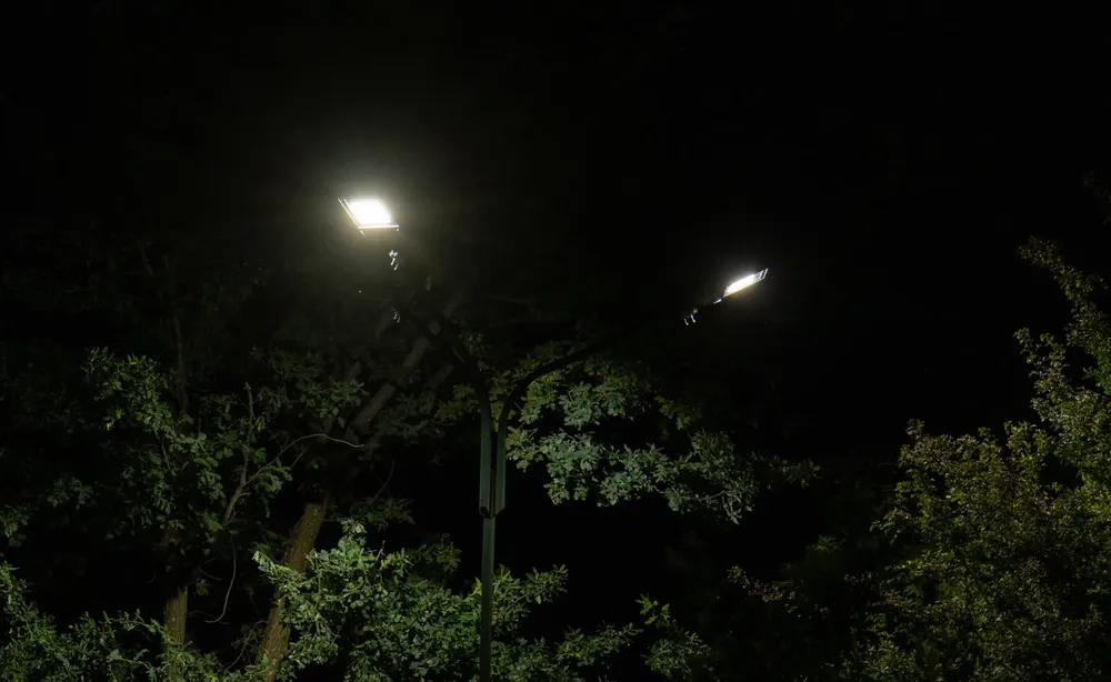 Imagen de WhatsApp 2025-03-13 a las 15.43.30_3e52dacc