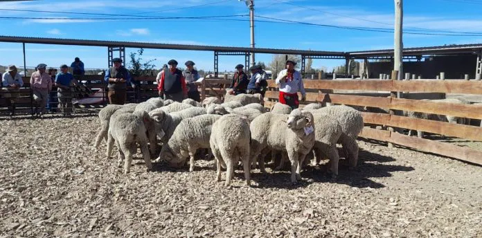 web-linea-de-financiamiento-para-pequenos-productores-52-696x344