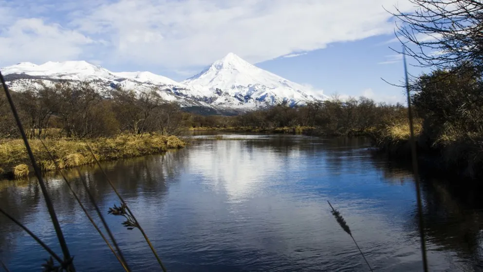 md - 2025-03-12T072744.729