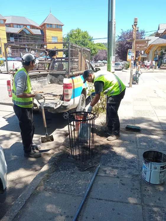 WhatsApp Image 2026-01-14 at 10.59.20