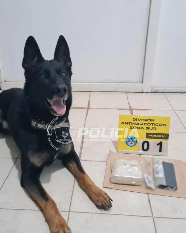 Imagen de WhatsApp 2025-08-14 a las 11.43.12_ccf70d48