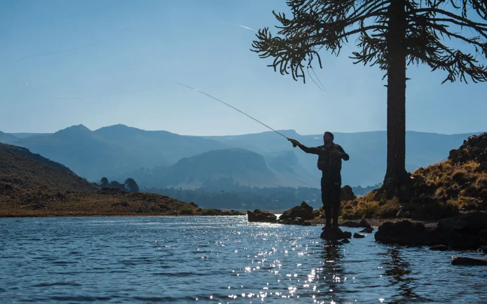 md - 2025-01-06T112419.360