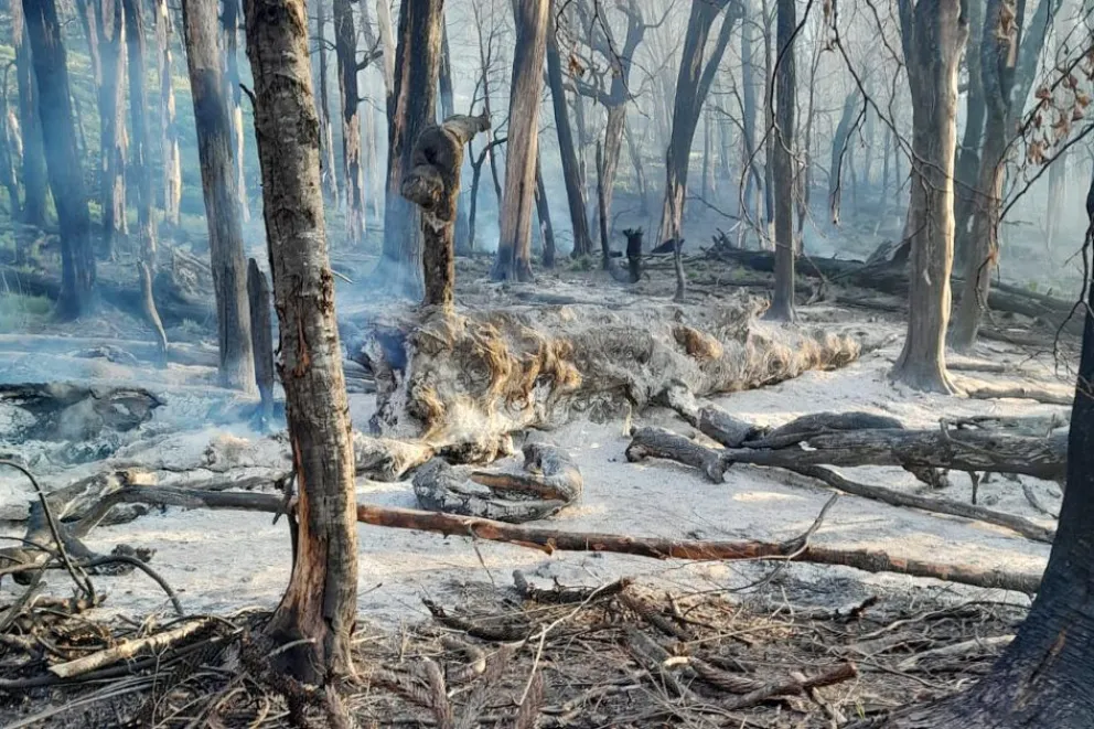 md - 2026-01-28T150512.281