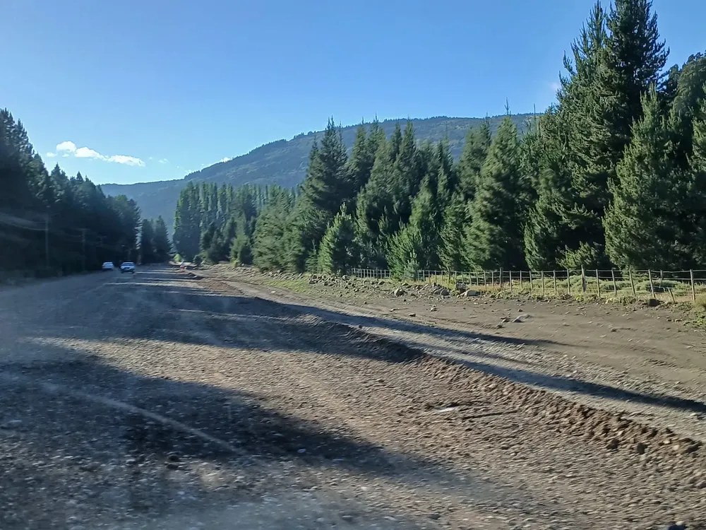 WhatsApp Image 2025-12-16 at 11.19.25