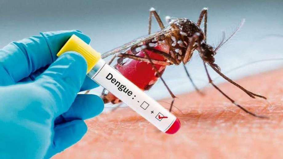 dengue-4524642674276