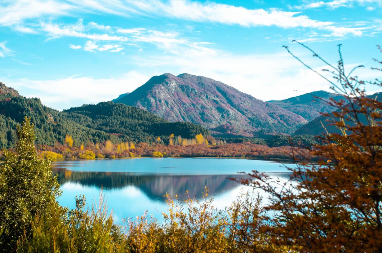 WhatsApp Image 2021-06-03 at 9.02.44 PM (1)