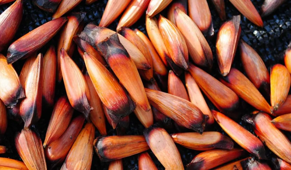 md - 2025-04-11T101617.841