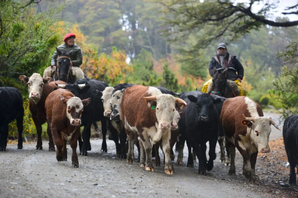 md - 2025-07-07T110117.370