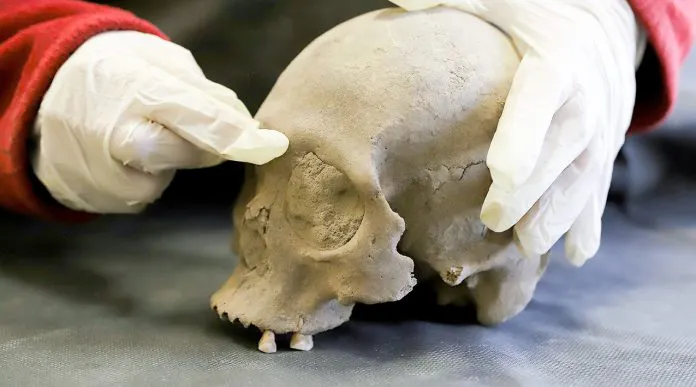 web-Hallazgo-primer-mujer-neuquina-4-696x387