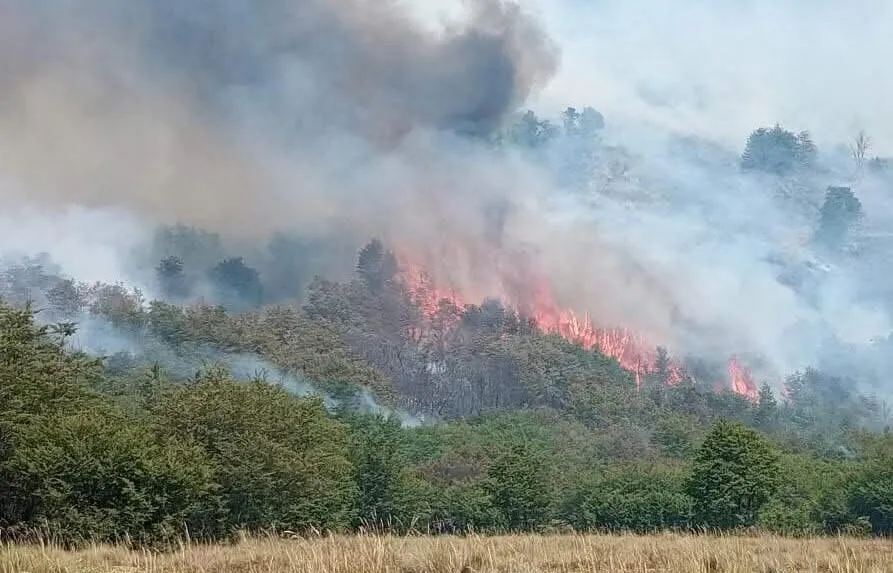 WhatsApp-Image-2025-02-09-at-19.41.21-e1739144601466