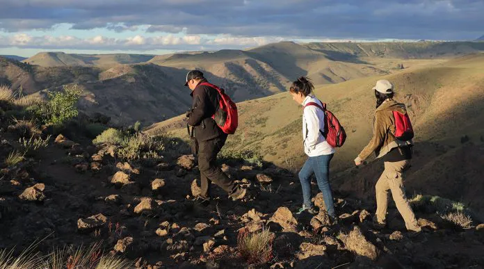 web-Mirador-Quilquelil-7-696x387