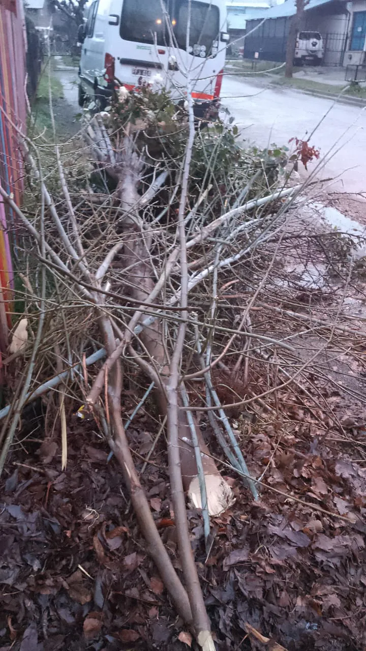 WhatsApp Image 2024-06-11 at 09.50.37